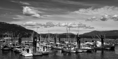 Cowichan-Bay-BW