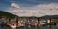 Cowichan-Bay