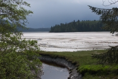 Grice Bay