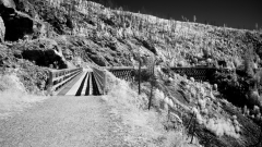 Kettle-Valley-Trestle-IR