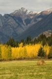 Kootenay-Autumn-1