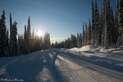 Late-Afternoon