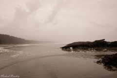 Long Beach 3