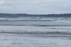 Long Beach