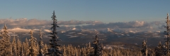 Monashees