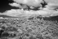 Near-Merritt-1-IR