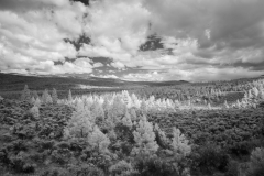 Near-Merritt-2-IR