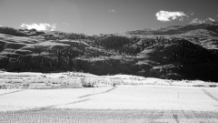 Near-Oliver-1-IR