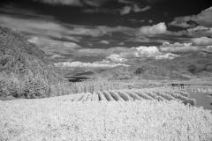 Okanagan-Falls-1-IR