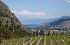 Okanagan-Falls