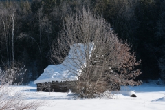 Shuswap_0902210013