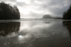 Vancouver-Island__101102_0183