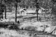 Scene near Westwold