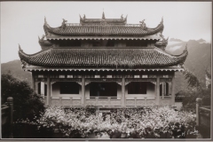 Qu-Yuan-2-mono