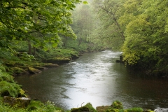The-Strid