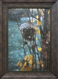 4-Sale-Cheap