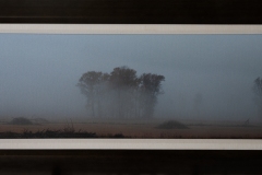 Autumn-Veil-12X36