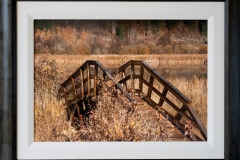 Autumn-in-the-Sanctuary-20X30