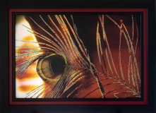 Chromatic-Eye-3