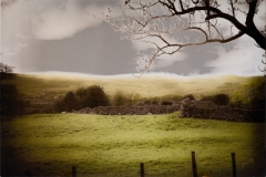Herriot-Country