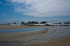 Oregon Trip May 2008