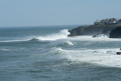Oregon Trip May 2008