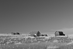 Abandonned homestead