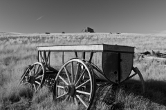 Abandonned homestead
