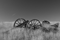 Abandonned homestead