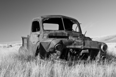 Abandonned homestead