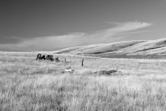 Abandonned homestead