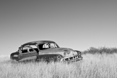Abandonned homestead