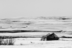 Abandonned homestead