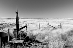 Abandonned homestead