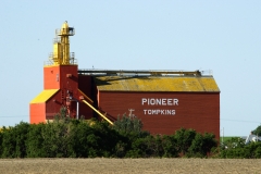 Tomkins 3