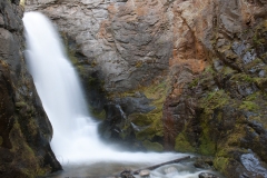 Tulip Creek 1