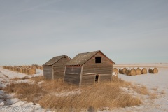Winter Scenes