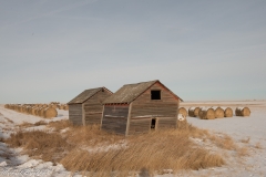 Bale Farm