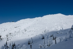 Big White 7