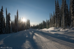 Black Forest Road