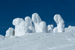 Seven Dwarfs