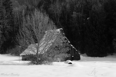 Shuswap Cabin BW