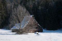Shuswap Cabin