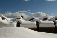 Winter Patterns